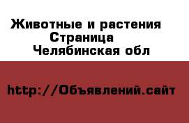  Животные и растения - Страница 2 . Челябинская обл.